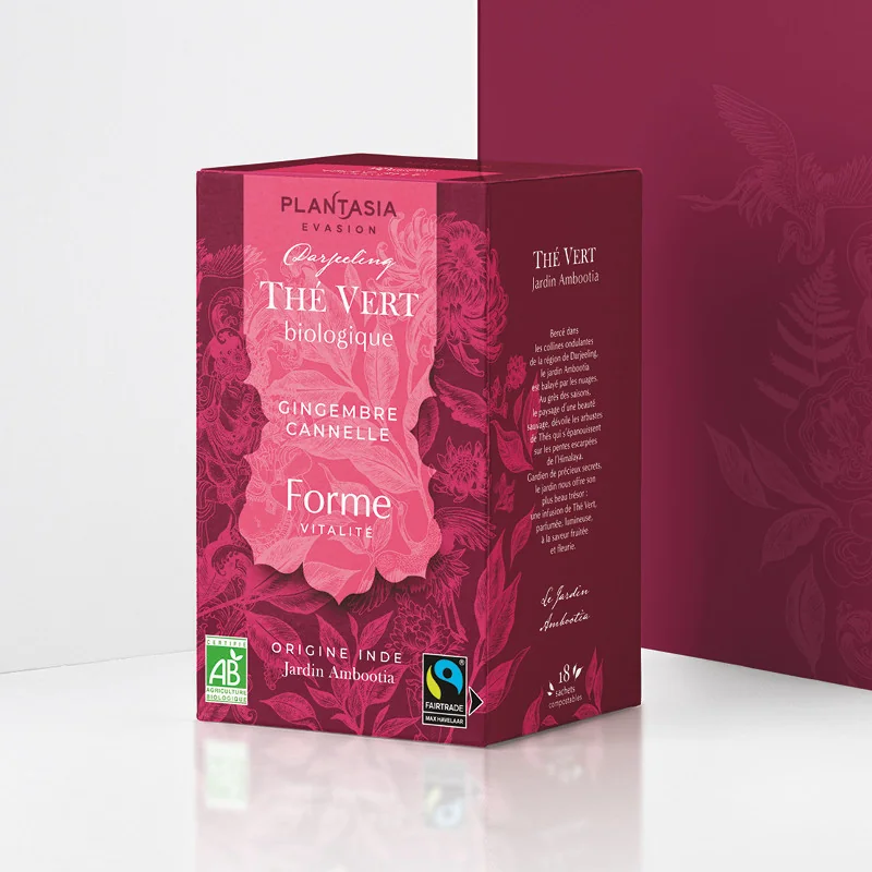 Forme Thé Vert Bio - Gingembre et Cannelle
