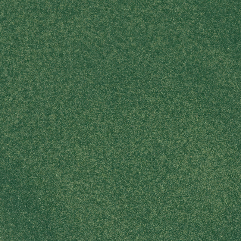 Spiruline Bio – Poudre d’eau douce 100g