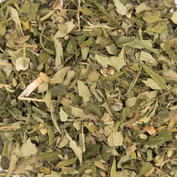 Organic Hemp Leaves  - Poetic Infusion 30g