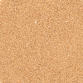 Levure de Bière Bio – Revivifiable 100g