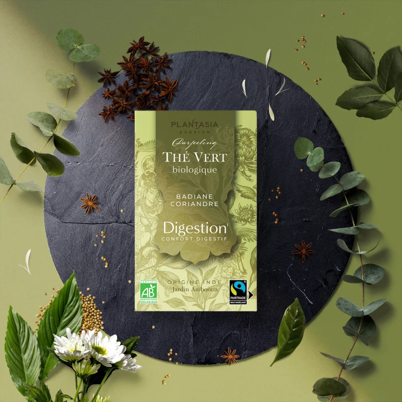 Thé Vert Digestion Bio - Coriandre & Anis Étoilé