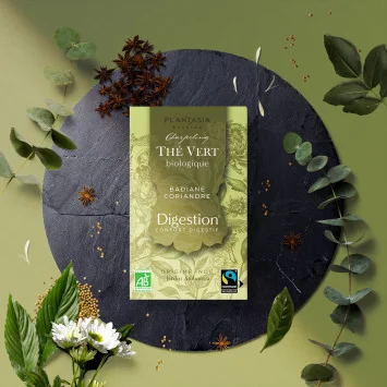 Thé Vert Digestion Bio - Coriandre & Anis Étoilé