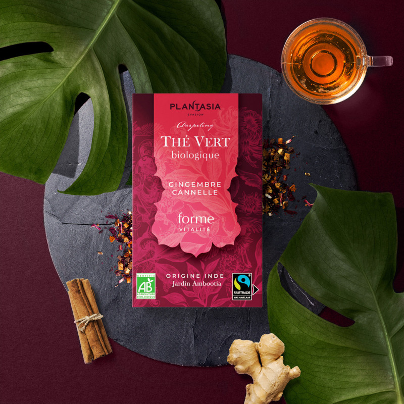 Forme Thé Vert Bio - Gingembre et Cannelle