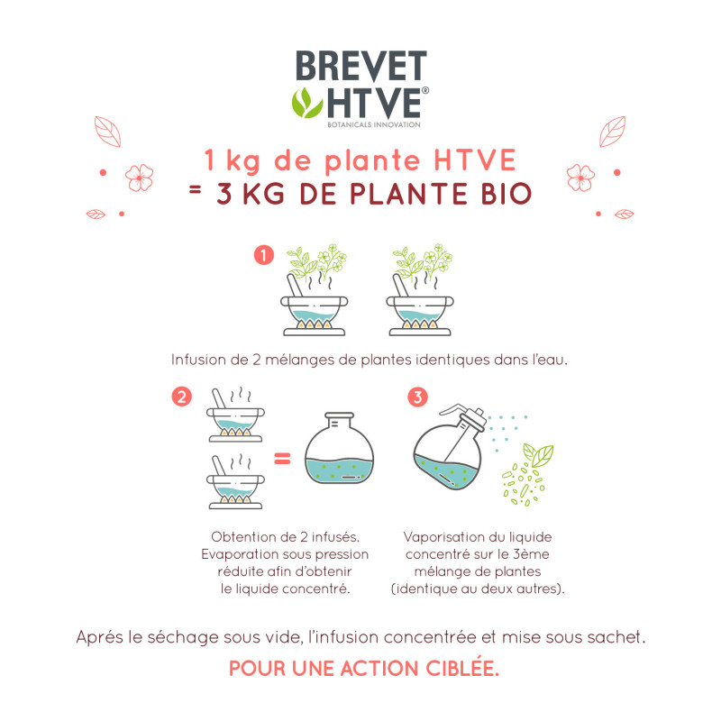 Organic Herbal Tea for Detox Support – Stimulating Plant Concentrate –