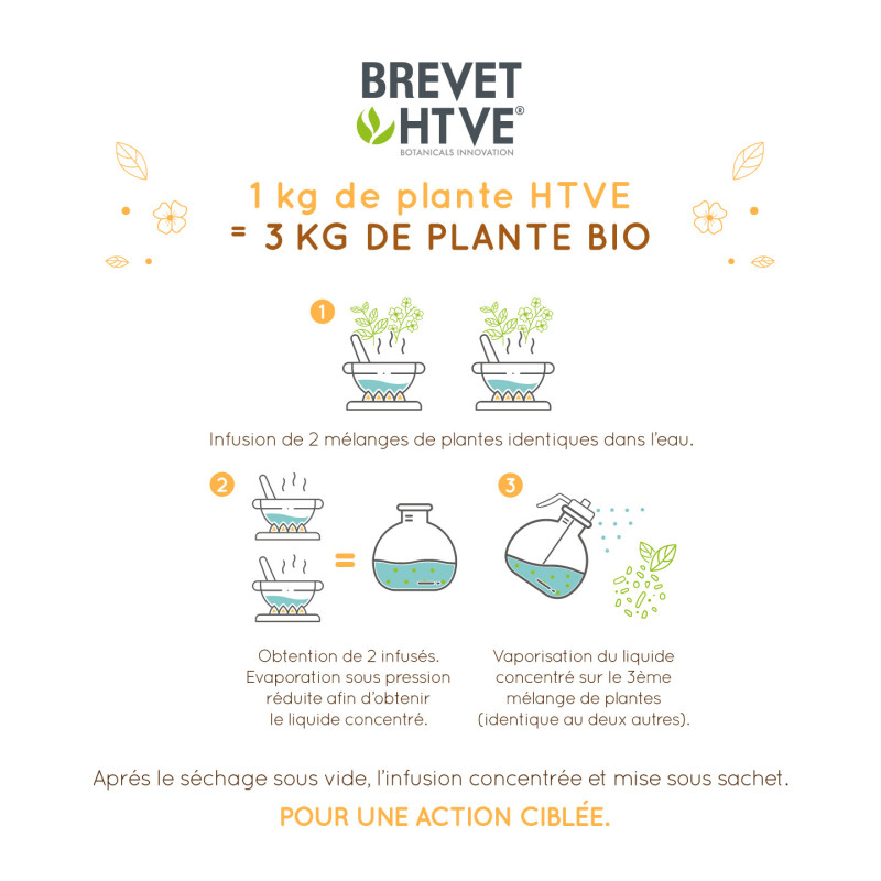 Organic Herbal Tea for Better Digestion – 18 Bags | Natural Digestive