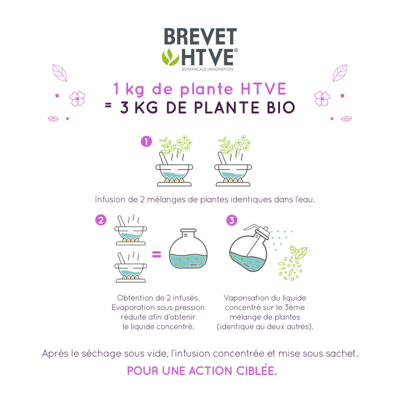 Organic Herbal Tea for Better Digestive Regulation – Stimulating Plant