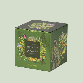 Organic Green Tea with Ginger – Spicy Awakening in a Metal Cube