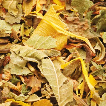Organic Digestive Herbal Tea Refill* - 24 Sachets
