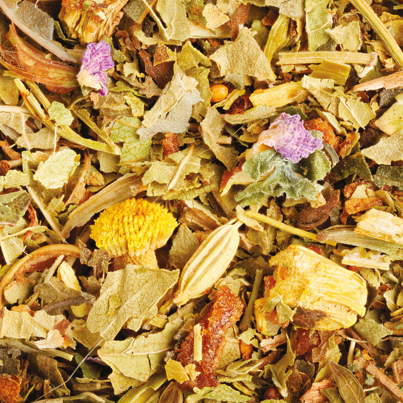 Organic Pyrenees Herbal Tea Refill* – 24 Sachets | Provence d’Antan