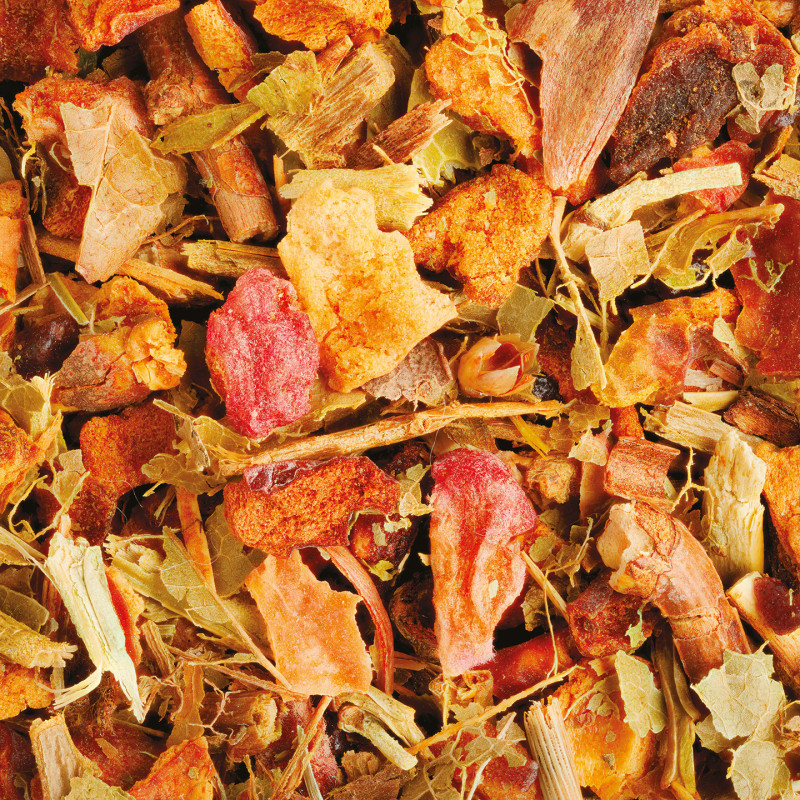 Organic Wood Berries Herbal Tea* – 24 Teabags | Provence d’Antan