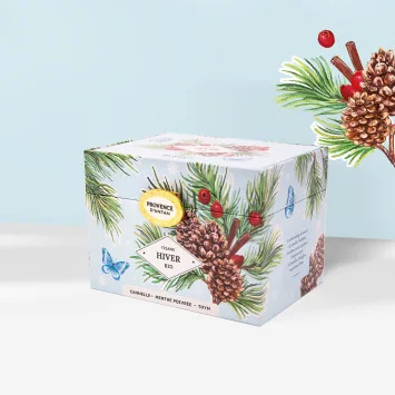 Tisane Hiver – Infusion épicée et fraîche en coffret métal