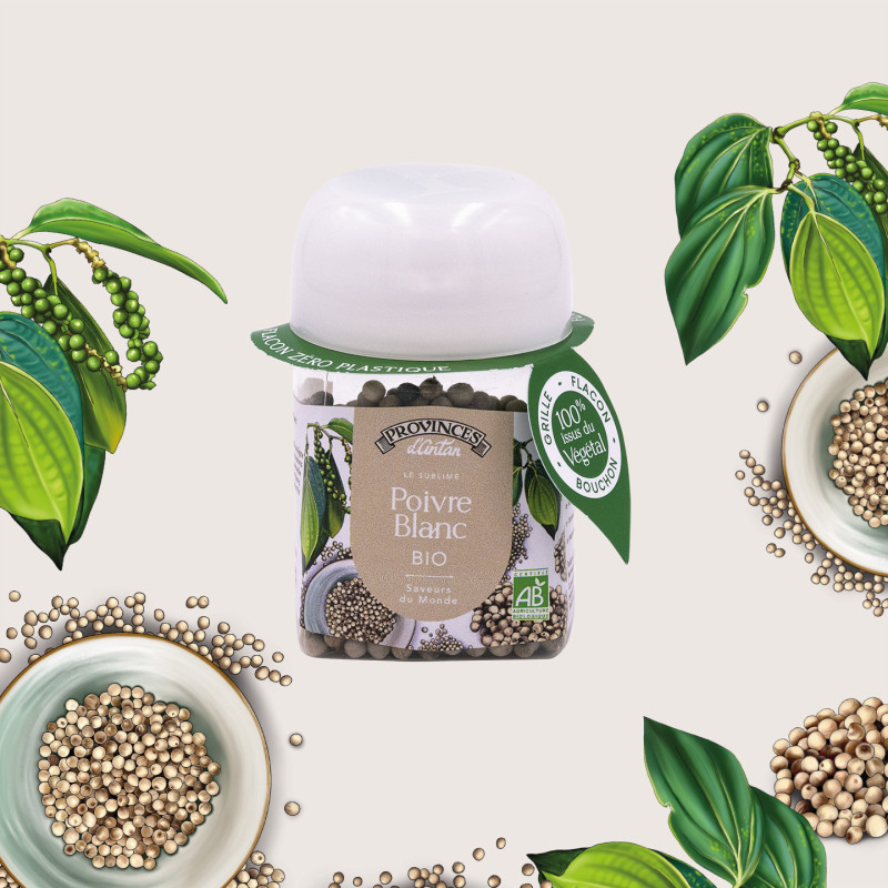 Poivre Blanc Bio 50g – Épice douce et raffinée
