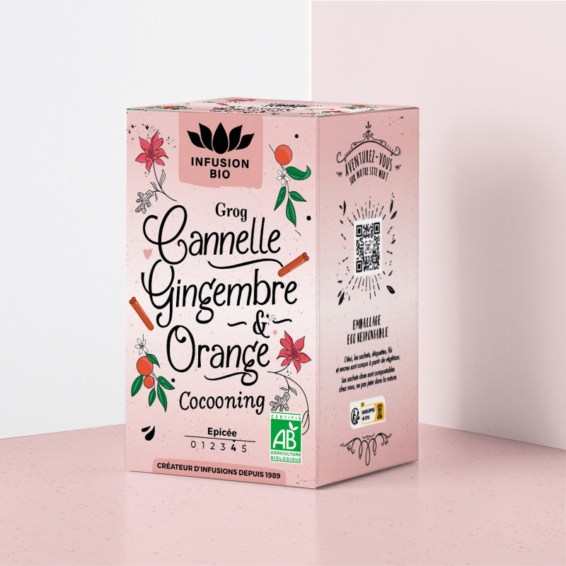Infusion Cannelle Gingembre Bio – Cocooning