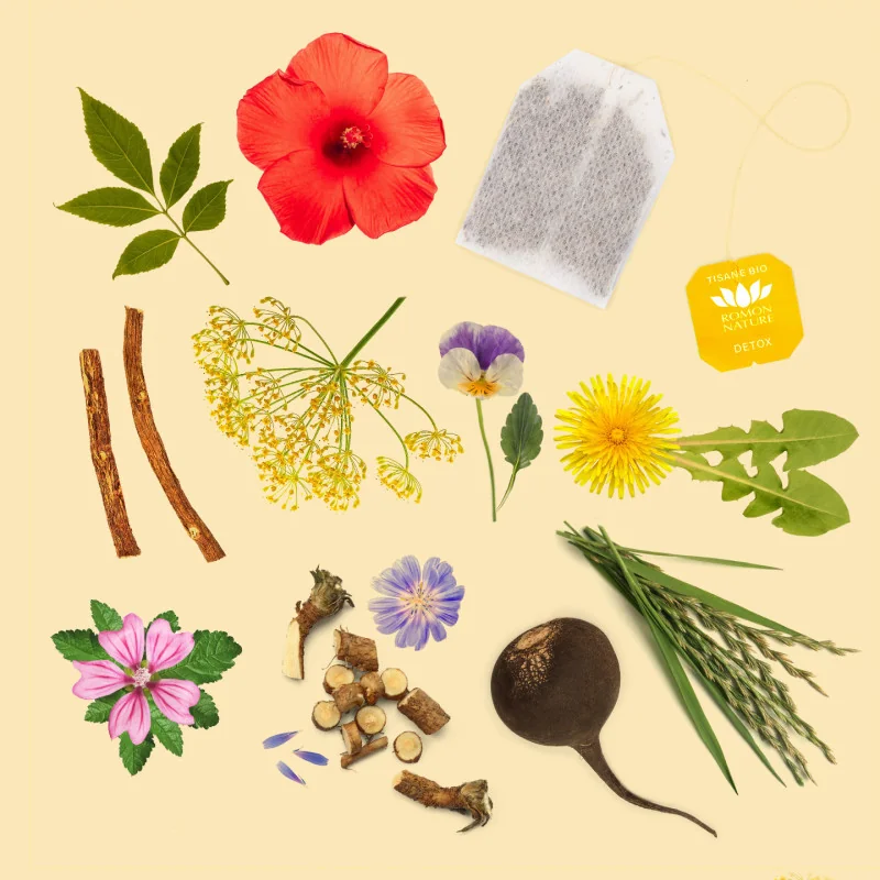 Infusion Détox Bio – Élimination & Vitalité Naturelle