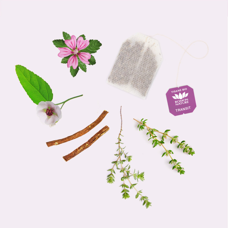Infusion Transit Bio – Digestion Naturelle & Légèreté