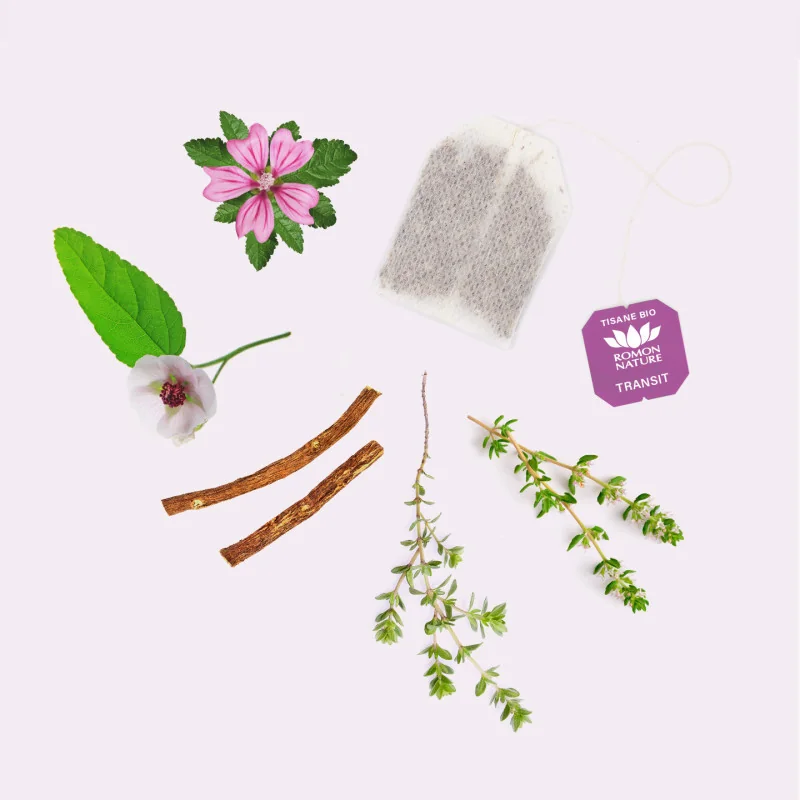 Infusion Transit Bio – Digestion Naturelle & Légèreté