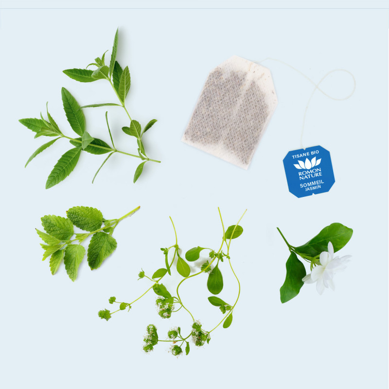 Infusion Sommeil Jasmin Bio – Nuit Paisible & Relaxation