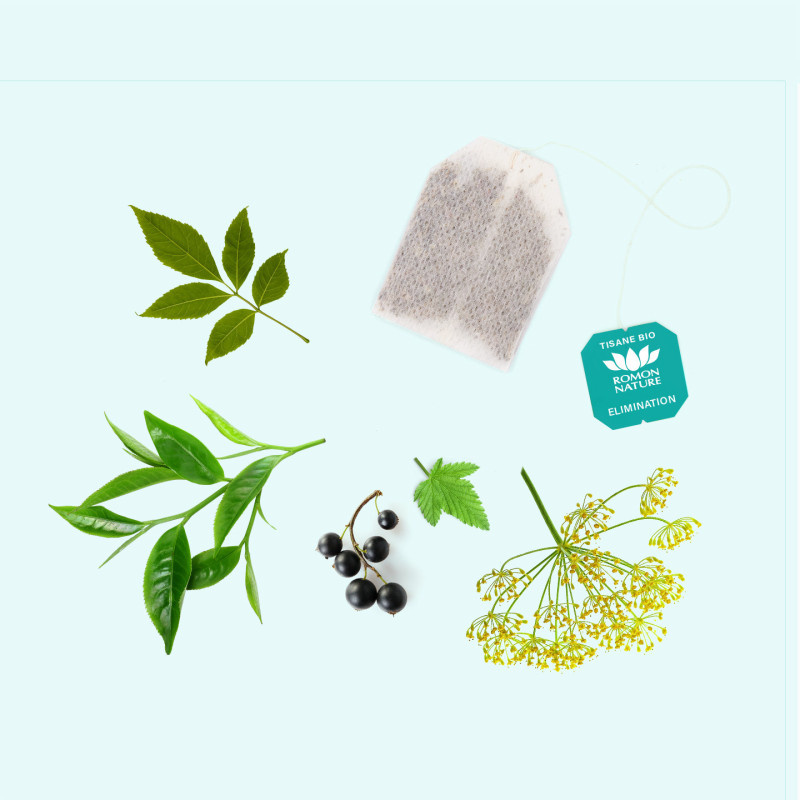 Tisane Bio Élimination – Infusion Frêne & Thé Vert