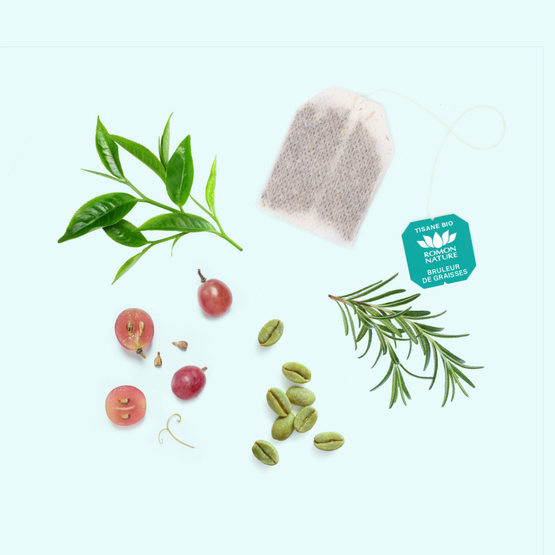 Tisane Bio Brûleur de Graisse – Infusion Thé Vert & Café Vert