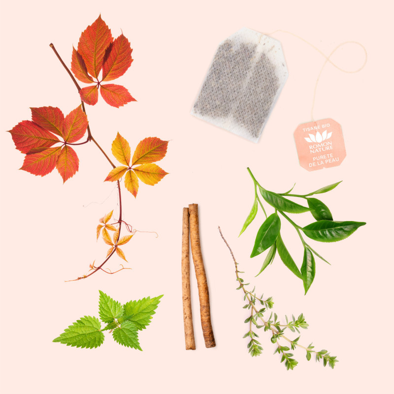 Tisane Bio Beauté de la Peau – Infusion Thé Vert et Plantes