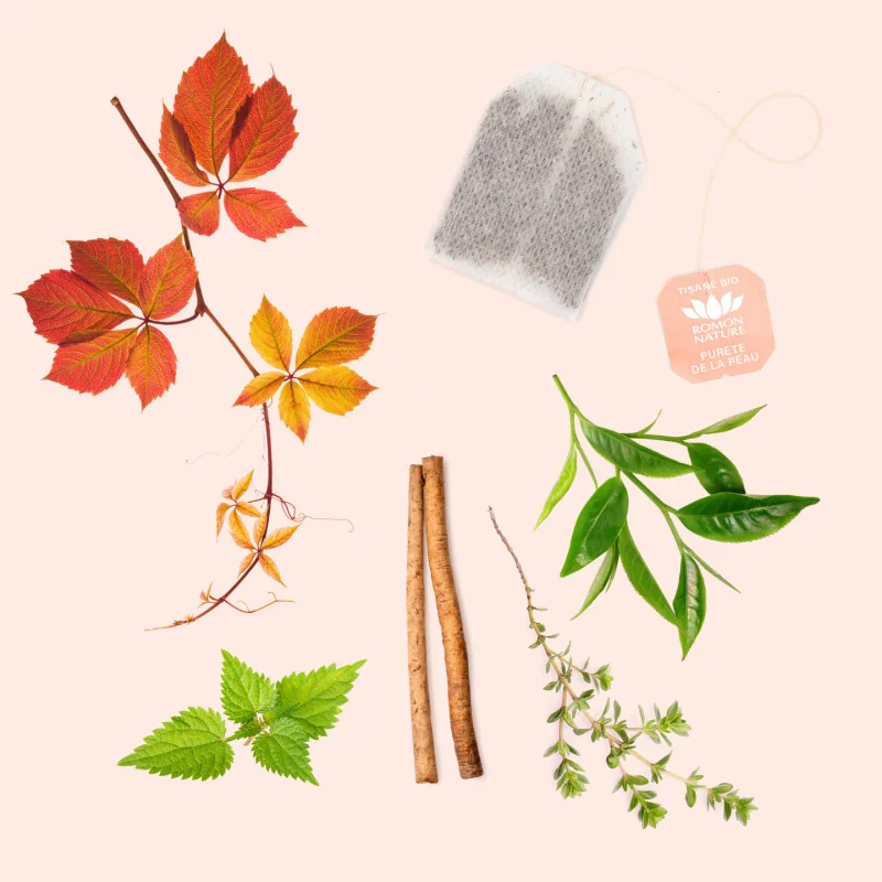 Tisane Bio Beauté de la Peau – Infusion Thé Vert et Plantes