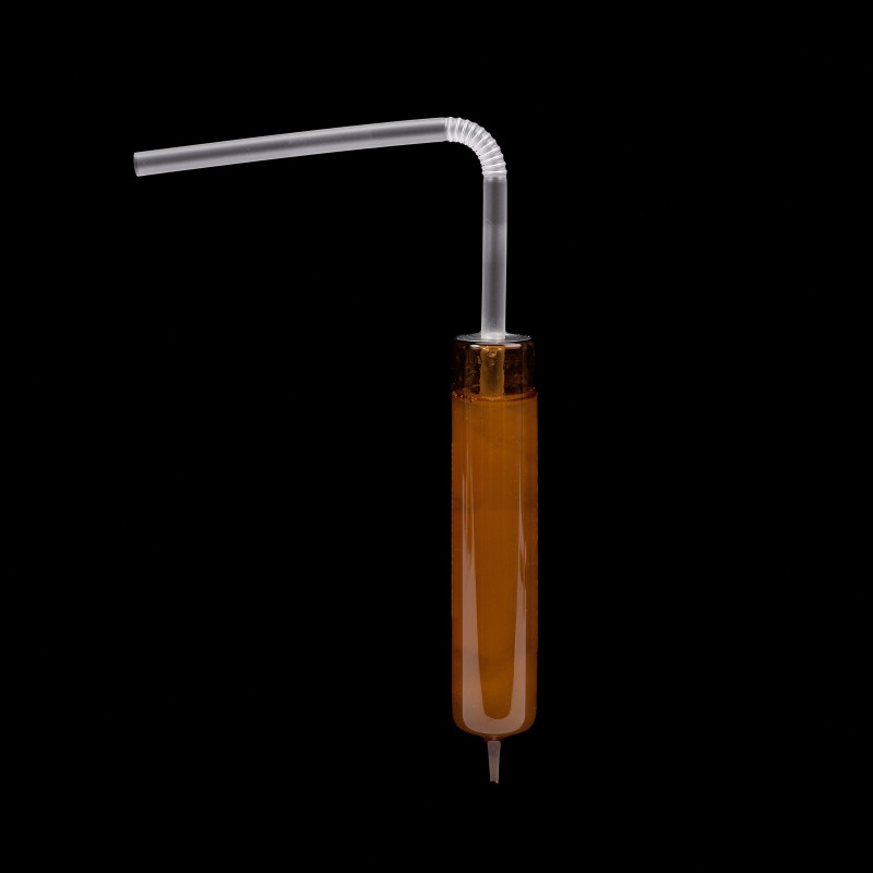 Gelée Royale Bio 1000 mg – Flacon unidose pratique