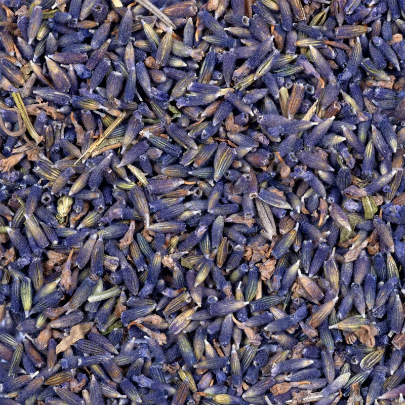 Lavande de Provence Bio* – Fleurs Séchées 15g