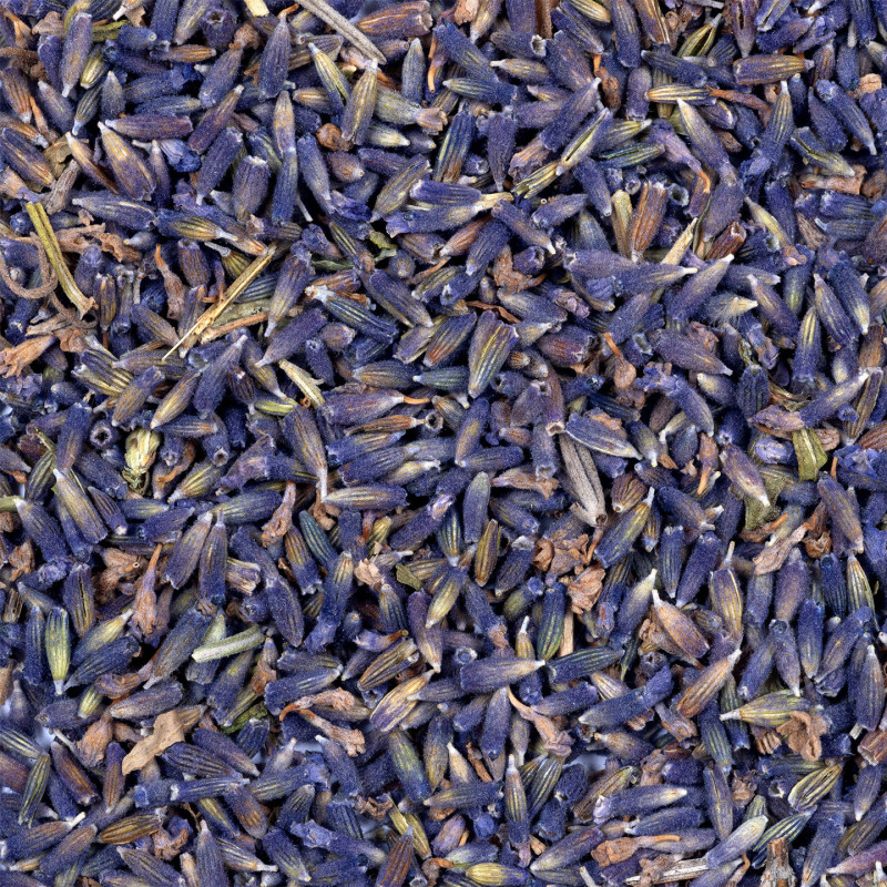 Organic Provence Lavender – Dried Flowers 15g