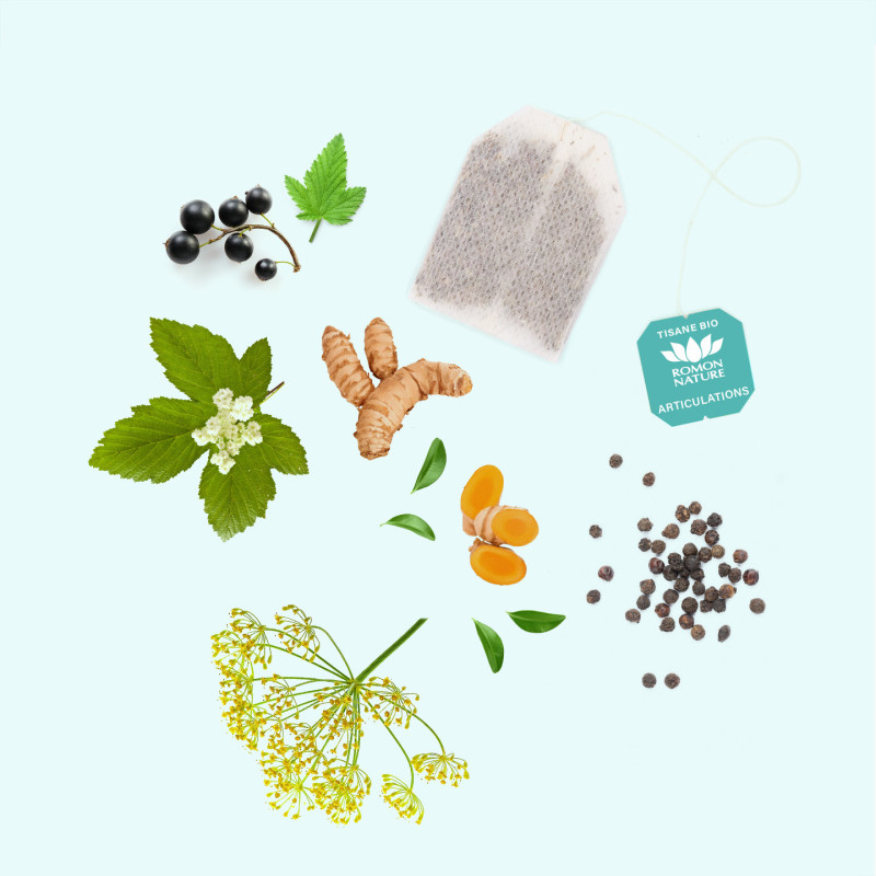 Tisane Bio Articulations – Infusion Cassis et Reine des Prés