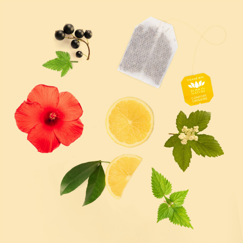 Organic Urinary Comfort Tea – Blackcurrant & Hibiscus Infusion