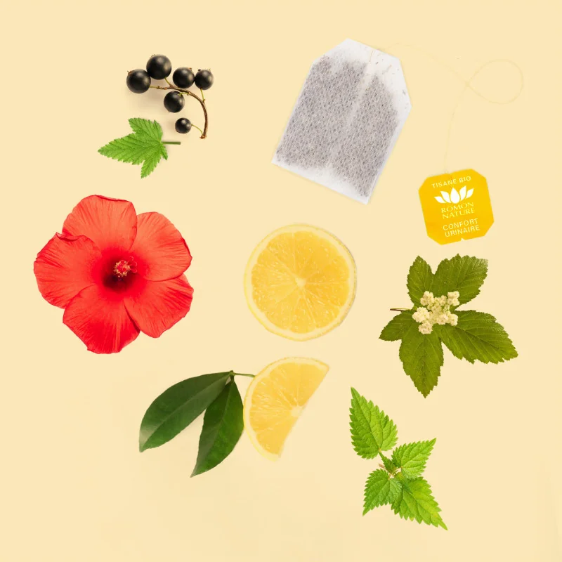 Tisane Bio Confort Urinaire – Cassis & Hibiscus