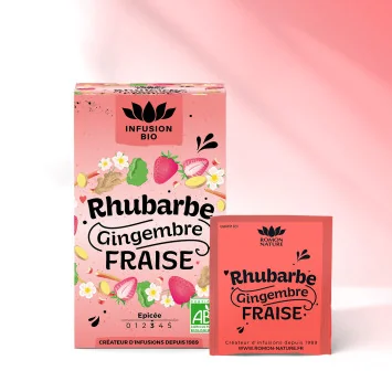 Organic Rhubarb Strawberry Ginger Infusion – Fruity & Spicy