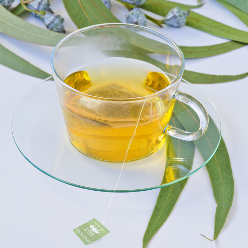 Tisane Eucalyptus Bio* – 20 Sachets | Romon Nature