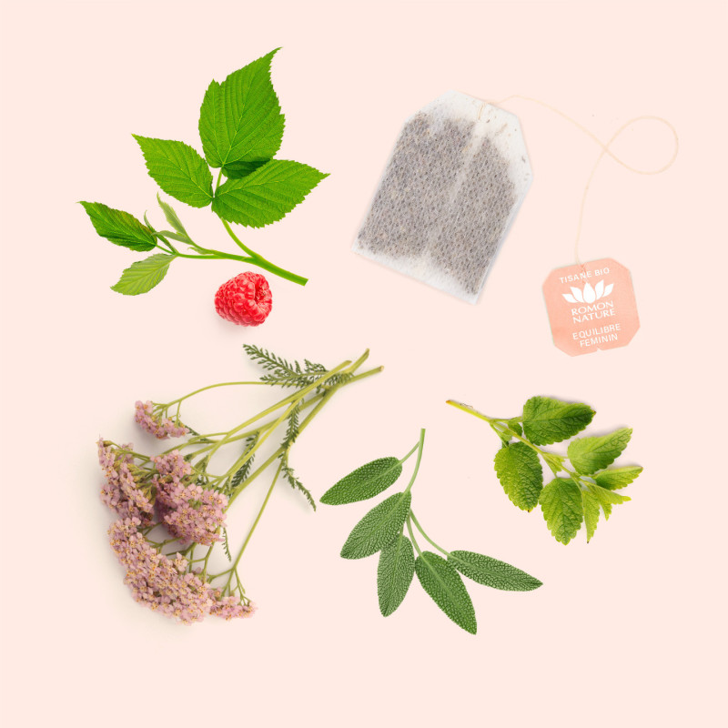 Infusion Équilibre Féminin BIO – Bien-être et Harmonie Hormonale