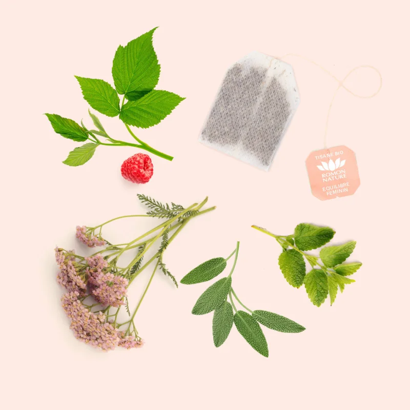 Infusion Équilibre Féminin Bio