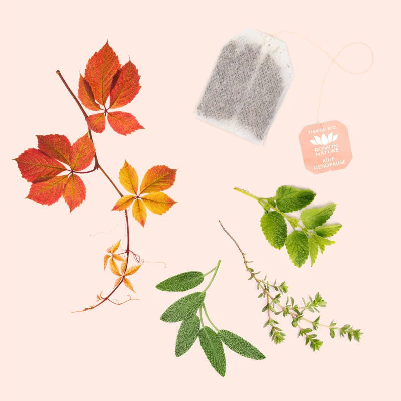 Tisane Bio Ménopause – Infusion Plantes Bien-être