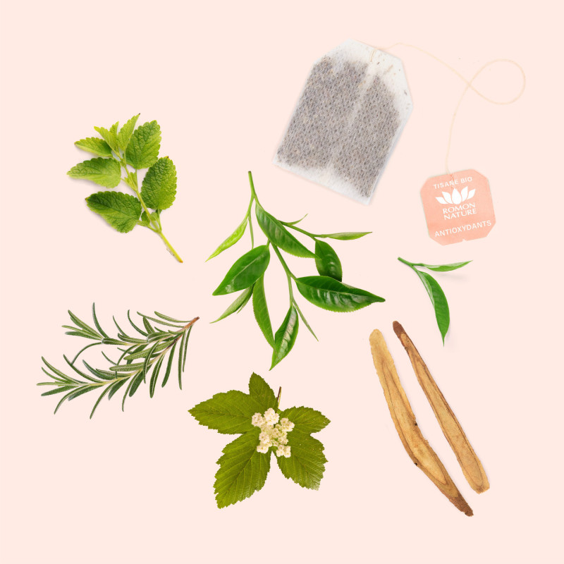 Organic Antioxidant Tea – Green Tea & Herbal Infusion