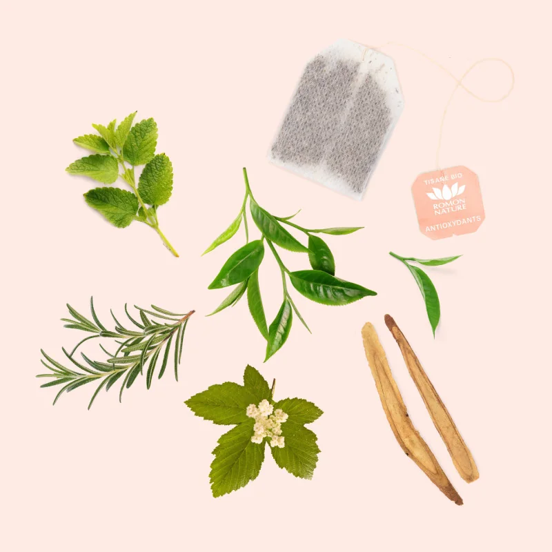 Tisane Bio Antioxydants – Infusion Thé Vert et Plantes