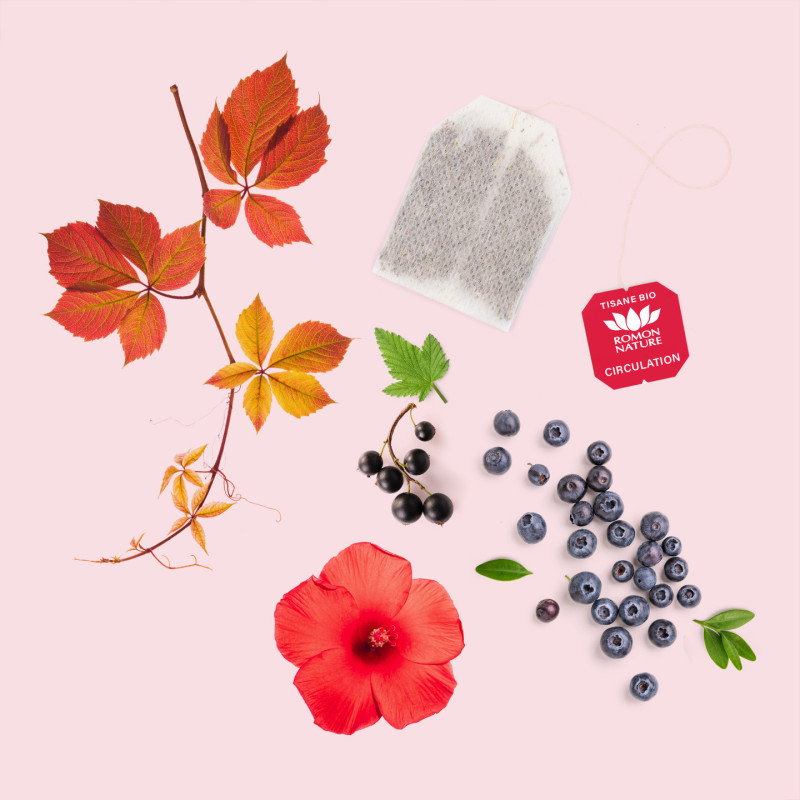 Tisane Bio Circulation – Infusion Vigne Rouge & Hibiscus