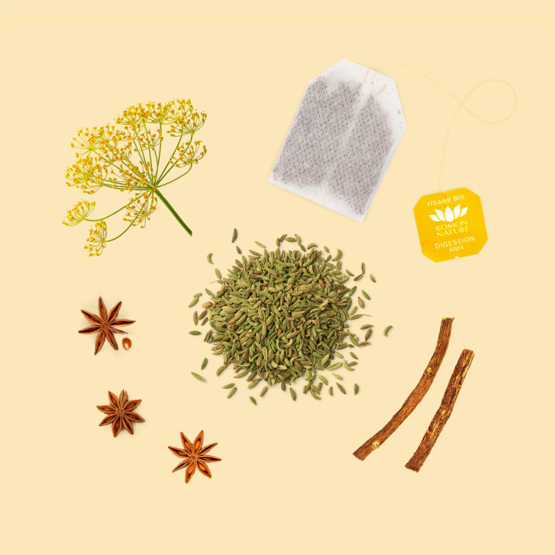 Organic Digestion Tea – Green Anise & Fennel Infusion