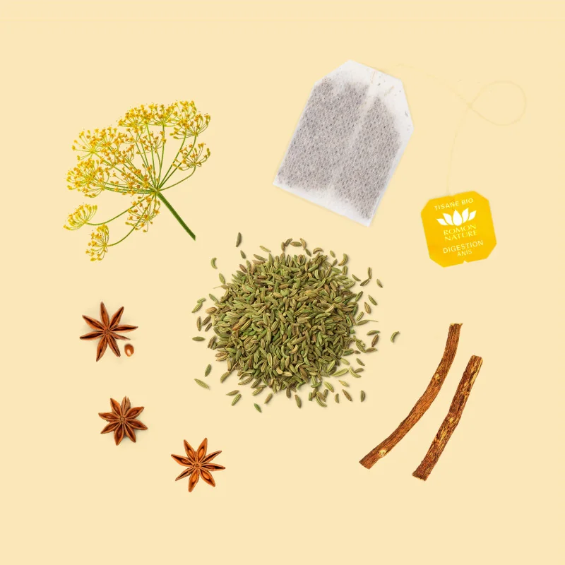 Tisane Bio Digestion – Infusion Anis Vert & Fenouil