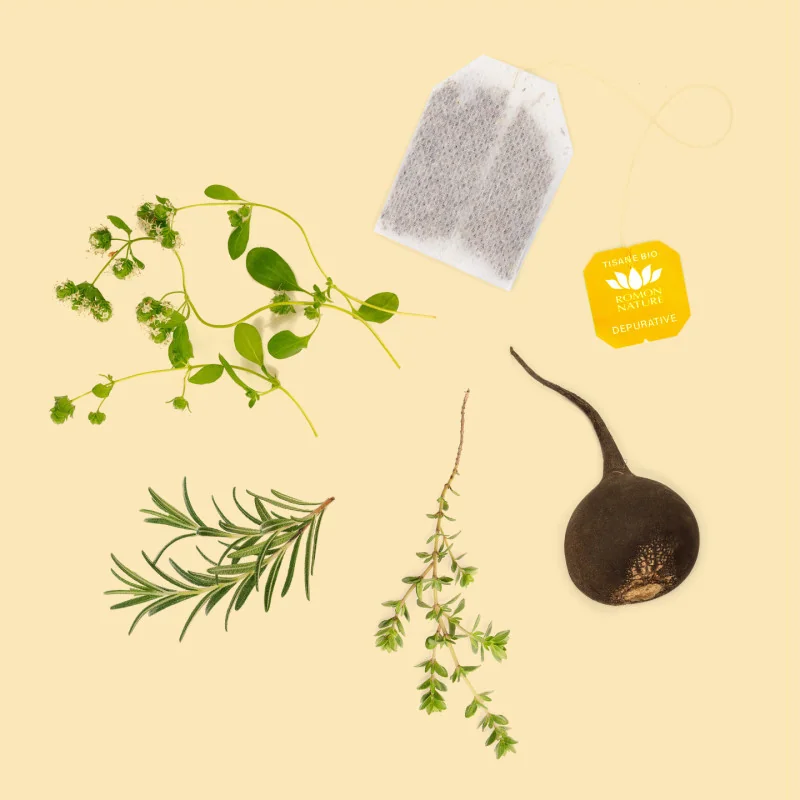 Tisane Bio Dépurative – Infusion Romarin & Chicorée