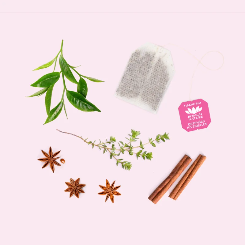 Tisane Bio Défenses Hivernales – Infusion Thym & Épices