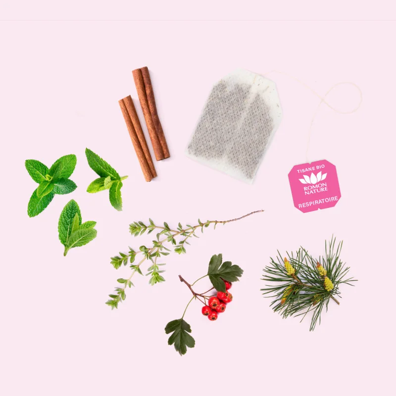 Organic Respiratory Tea – Thyme & Peppermint Infusion