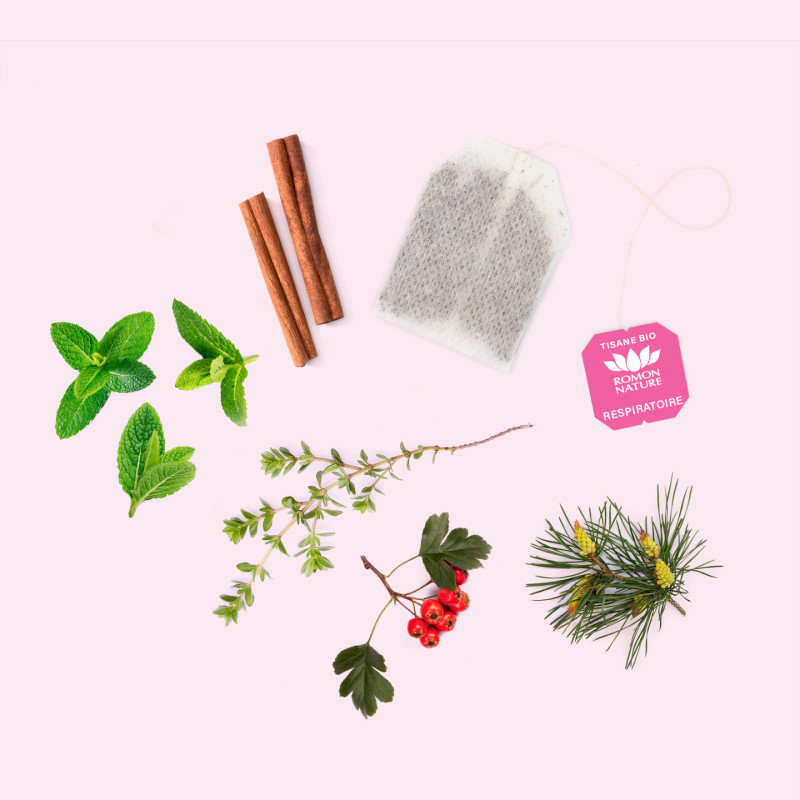 Tisane Bio Respiratoire – Infusion au Thym & Menthe Poivrée