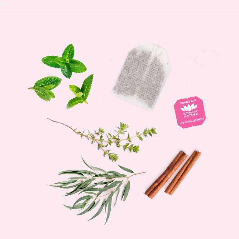 Organic Cold-Relief Tea – Thyme & Eucalyptus Infusion