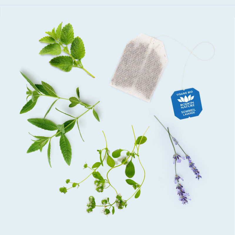 Sleep Lavender Organic Herbal Tea – Relaxation & Deep Sleep