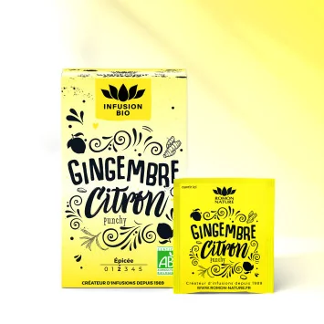 Infusion Gingembre Citron Bio* – 16 Sachets | Romon Nature