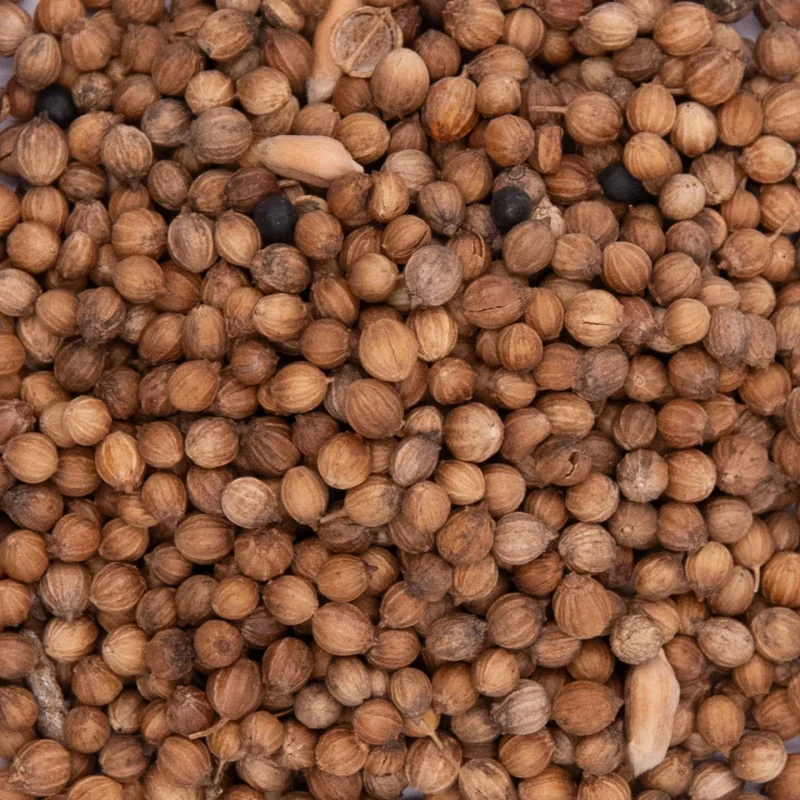 Organic Coriander Seeds - Whole Seeds from Provence