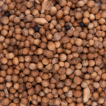 Organic Coriander Seeds 30g – Fragrant Whole Seeds from Provence